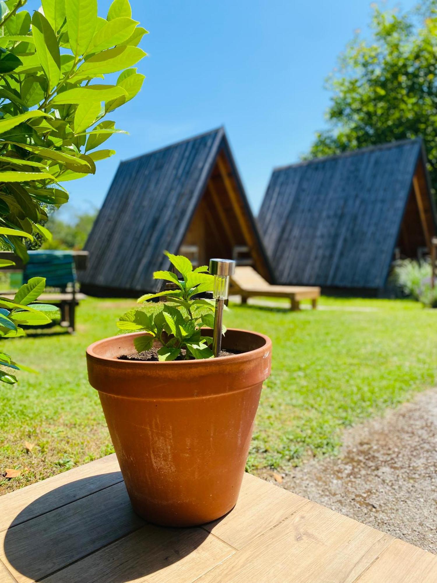 Rooms & Glamping Lana Haus Licko Petrovo Selo Exterior photo